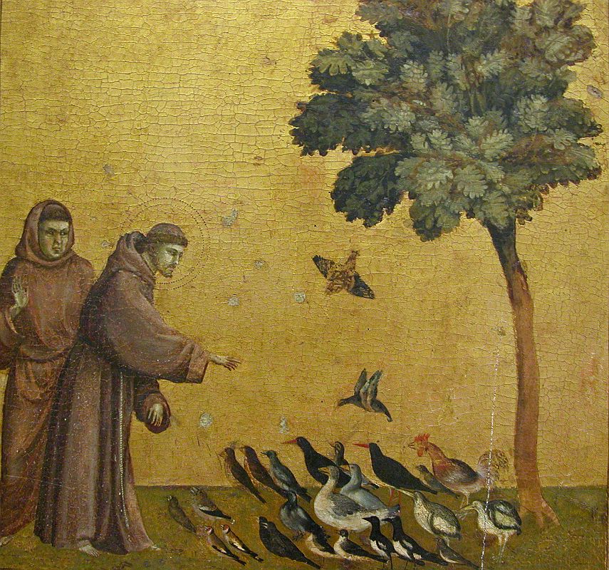 SAN FRANCISCO - Giotto di Bondone